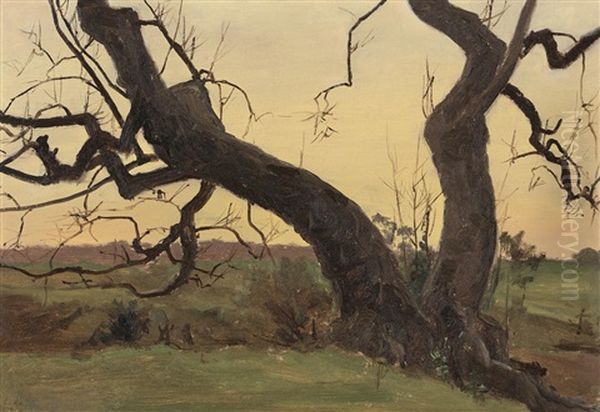 Twisted Trunks Sight Oil Painting by Lockwood de Forest