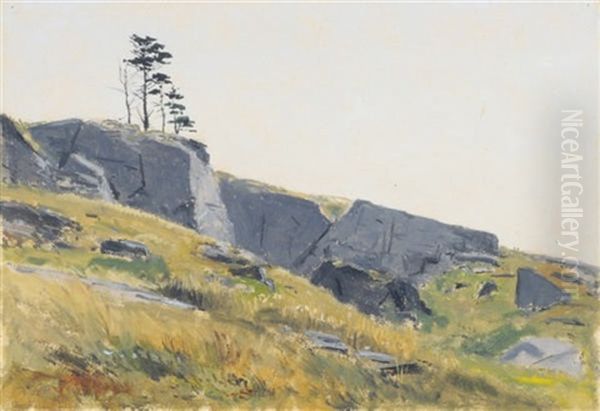 Rocks On A Hillside Oil Painting by Lockwood de Forest