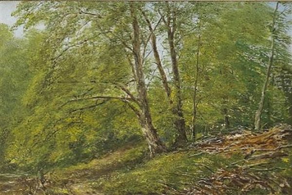 Forest Interior With A Stream (+ Wooded Landscape; Pair) Oil Painting by Lockwood de Forest