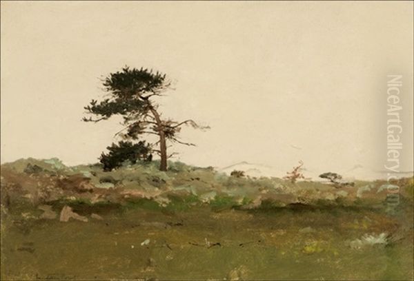 Monterey Point, Lone Pine Oil Painting by Lockwood de Forest