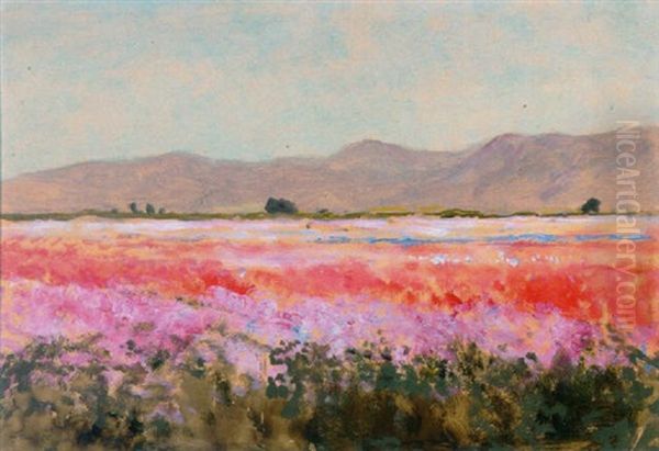 The Flower Fields Of Lompoc Oil Painting by Lockwood de Forest