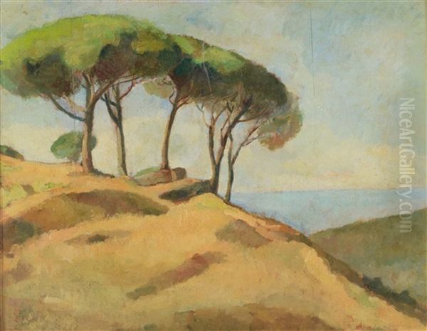 Veduta Costiera Con Pini Oil Painting by Achille Formis