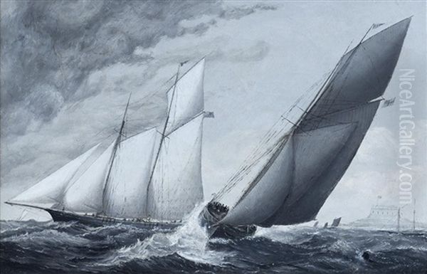 Yachts Maneuvering Before The Race Oil Painting by Haughton Forrest