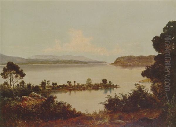 Macquarie Harbour Oil Painting by James Haughton Forrest