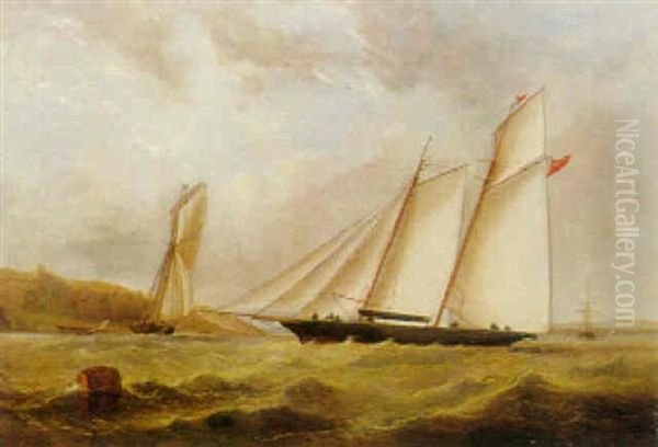 Racing Cutters, With Royal Yacht Fairy? Oil Painting by James Haughton Forrest