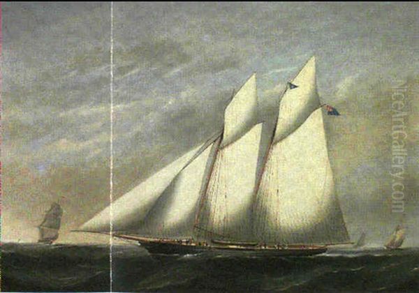 The Royal Northern Yacht Club's Schooner 'ethel' Oil Painting by James Haughton Forrest