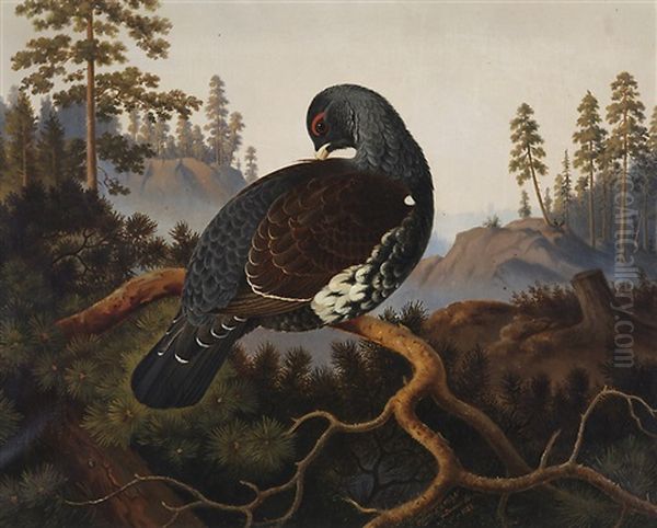 Capercaillie Oil Painting by Lennart Forsten