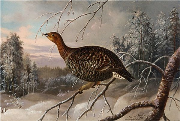 Female Black Grouse (after Ferdinand Von Wright) by Lennart Forsten