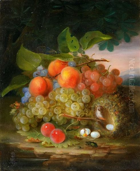 Still Life With Fruit And A Bird's Nest Oil Painting by George Forster