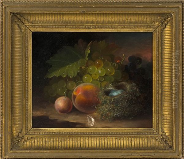 Still Life Of Fruit, A Bird's Nest With Eggs, And A Ladybug Oil Painting by George Forster