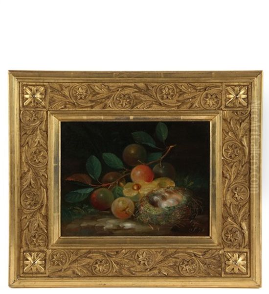 Still Life With Bird's Nest And Fruit Oil Painting by George Forster