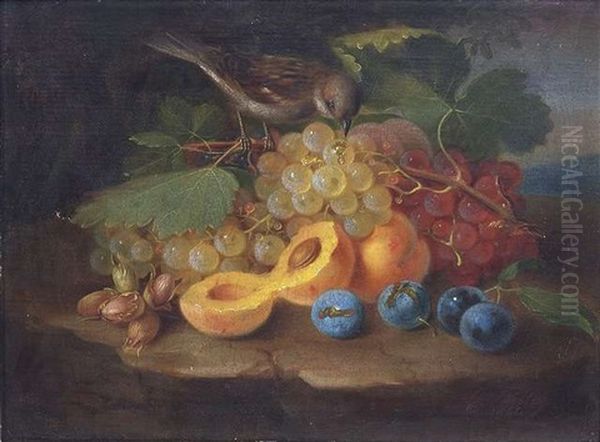 Obststilleben Mit Trauben, Pfirsichen, Pflaumen, Nusschen Und Einem Spatz Oil Painting by George Forster