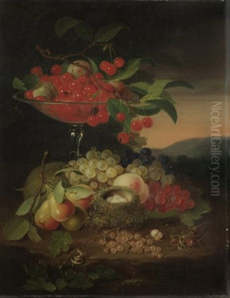 Stilleben Mit Fruchten, Vogelnest, Nussen, Insekten Und Schnecke Oil Painting by George Forster