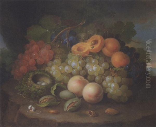 Still Life With Bird's Nest, Figs, Peaches And Grapes Oil Painting by George Forster