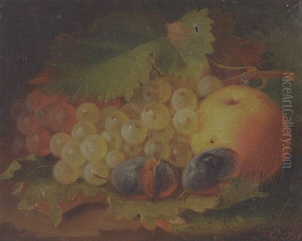 Still Life With Grapes, Plums And Apple Oil Painting by George Forster