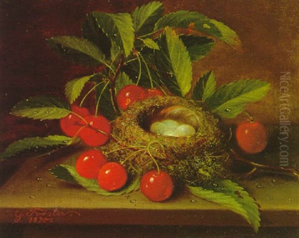 Still Life With Cherries And A Bird's Nest Oil Painting by George Forster