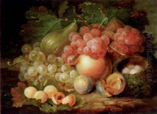 Still Life With Grapes And Figs Oil Painting by George Forster