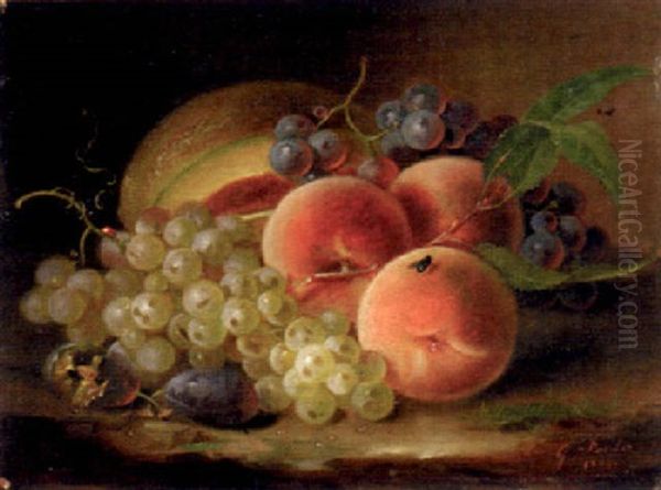 Peaches, Grapes And Melon Oil Painting by George Forster