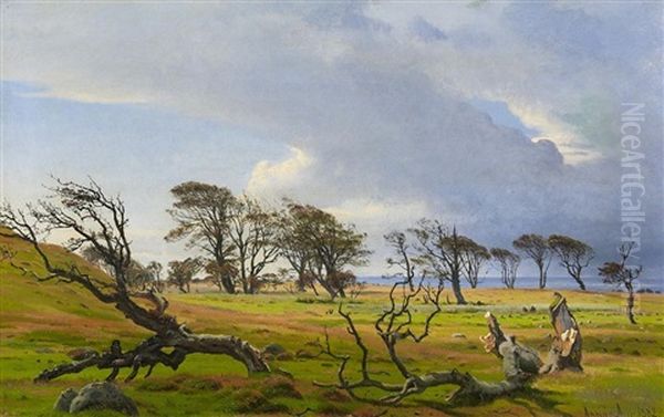 Kustenlandschaft Bei Asnaes In Danemark Oil Painting by Harald Frederick Foss