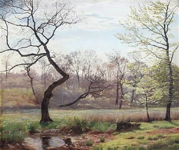 Landscape With Tall Trees Oil Painting by Harald Frederick Foss