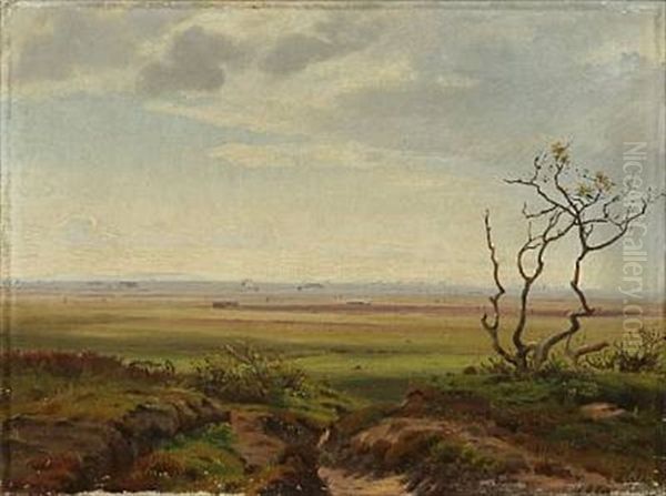 View Of A Landscape by Harald Frederick Foss