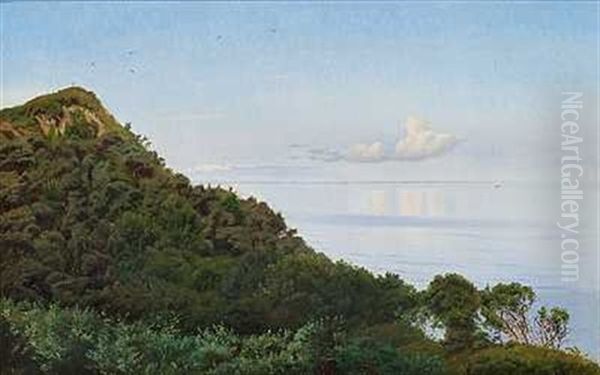 Ud Over Kallundborg Fjord Og Asnaes Oil Painting by Harald Frederick Foss