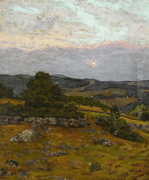 Lightfield Hills Oil Painting by Ben Foster