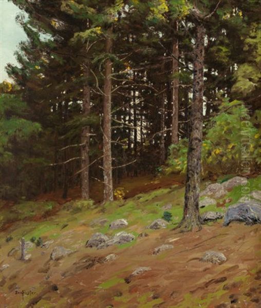 In The Pines Oil Painting by Ben Foster