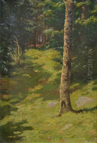 Morning Light In The Woods Oil Painting by Ben Foster