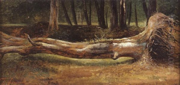 Etude D'arbre Abattu Oil Painting by Theodore Fourmois