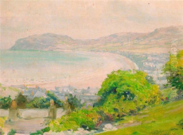 Cork Harbour, County Cork, Ireland Oil Painting by Robert Fowler