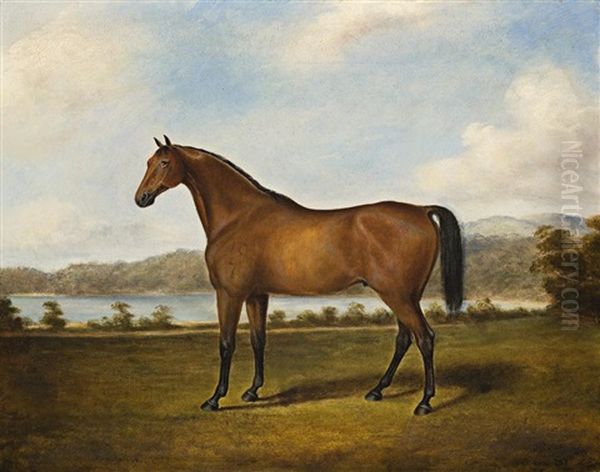 Racehorse, Sydney Oil Painting by Joseph Fowles