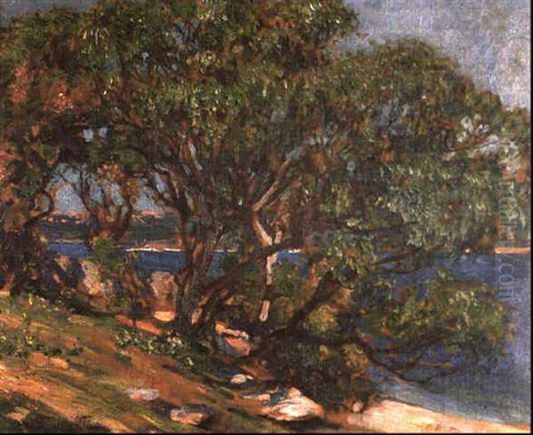 Summer Morning, Sydney Harbour Oil Painting by Emanuel Phillips Fox