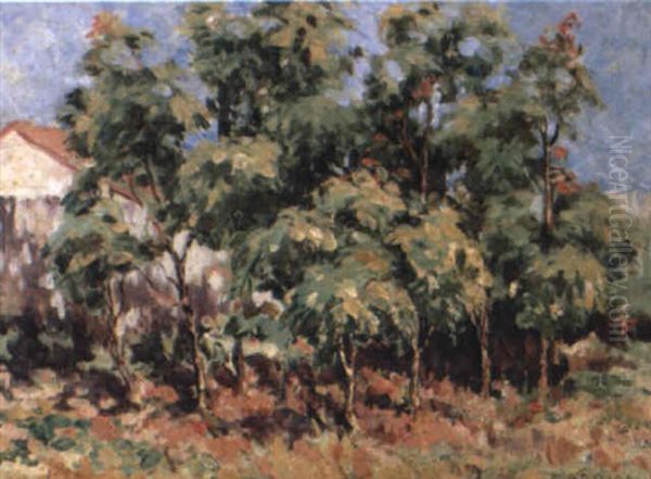 Castor Oil Trees, Brisbane Oil Painting by Ethel Carrick Fox