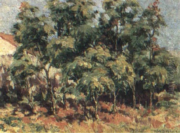 Castor Oil Trees, Brisbane Oil Painting by Ethel Carrick Fox