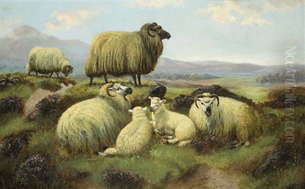 Sheep In The Highlands Oil Painting by John Shirley Fox