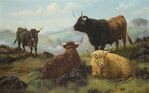 Highland Cattle Oil Painting by John Shirley Fox