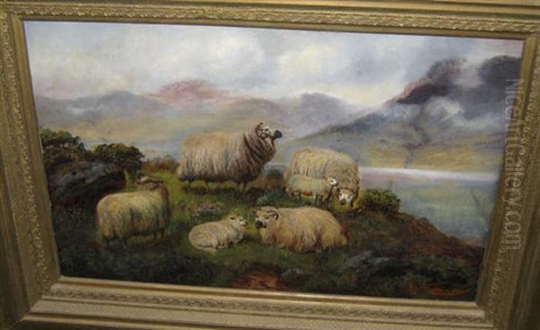 Sheep In The Highlands Oil Painting by John Shirley Fox