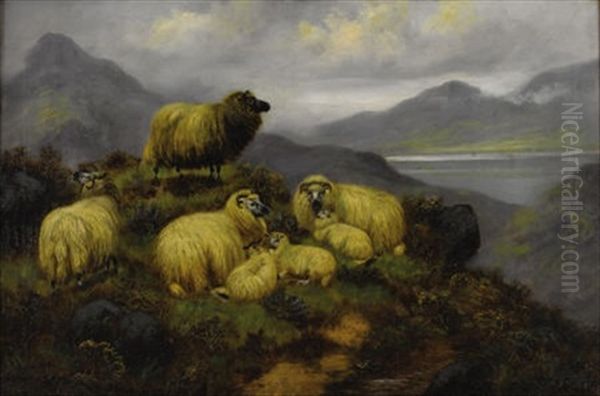 Sheep On A Hillside Oil Painting by John Shirley Fox