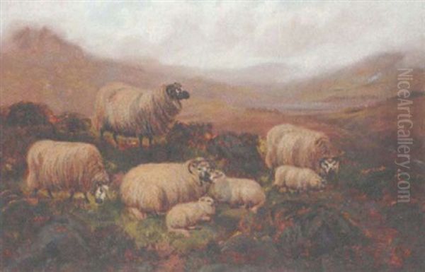 Sheep In The Highlands by John Shirley Fox