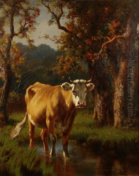 A Study Of A Cow Wading In A Woodland Stream Oil Painting by Robert Atkinson Fox