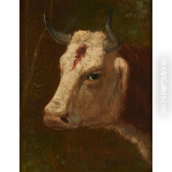 Head Of A Bull by Robert Atkinson Fox