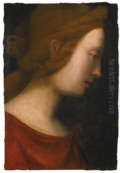 Head Of A Female Saint Seen In Profile by  Fra Bartolommeo