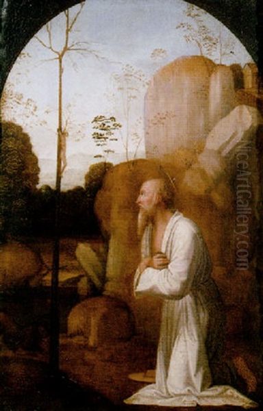 The Penitent Saint Jerome In A Landscape Oil Painting by  Fra Bartolommeo