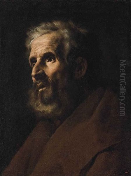 Head Study Of A Bearded Man Oil Painting by Francesco Fracanzano