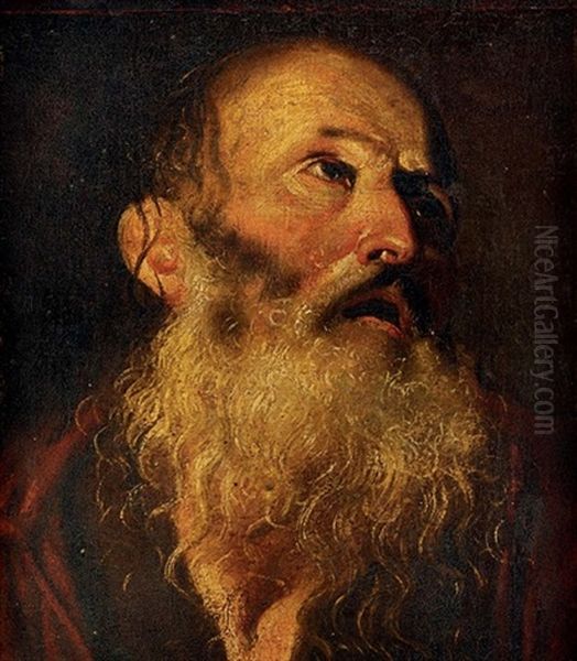 The Head Of St. Peter Oil Painting by Francesco Fracanzano