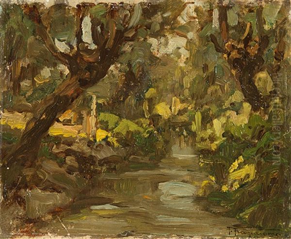 Scorcio Con Alberi E Ruscello Oil Painting by Pietro Fragiacomo