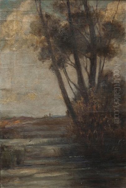 Alberi In Palude Oil Painting by Pietro Fragiacomo