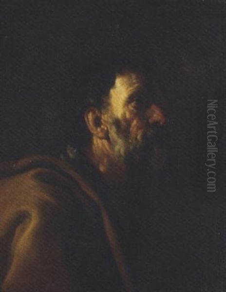 Head Of A Bearded Man (saint Peter?) by Francesco Francanzano