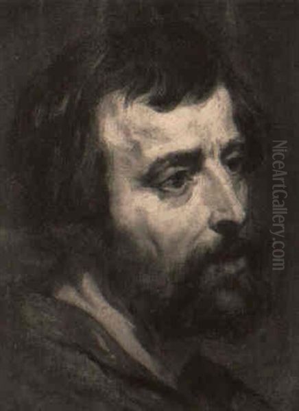 A Bearded Man Oil Painting by Lucas Franchoys the Younger